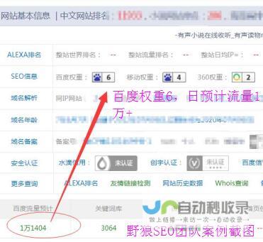 安阳SEO服务：精准引流，提升安阳企业线上曝光与销售转化