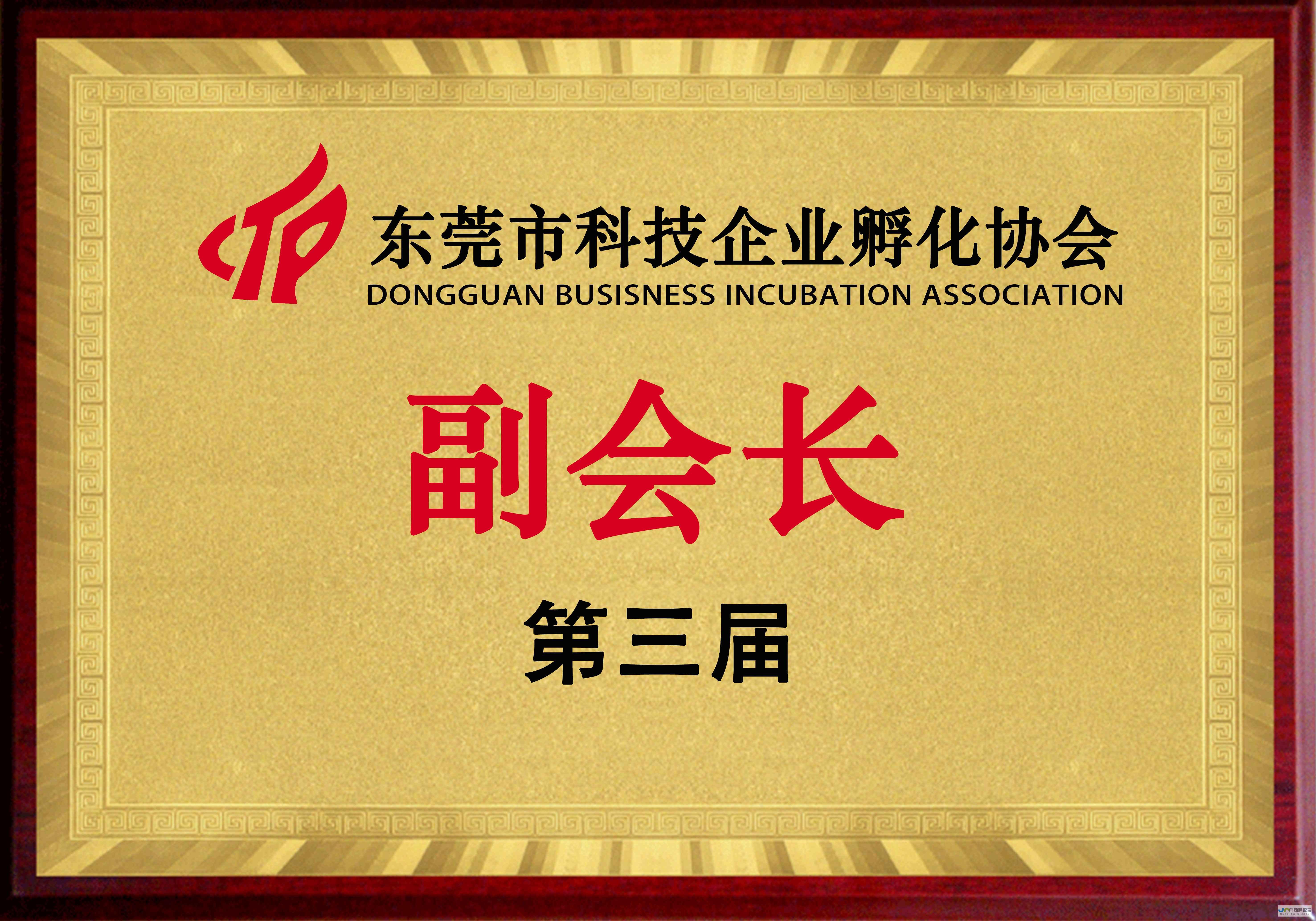 东莞专业企业网站设计服务：定制您的在线形象，助您突破市场瓶颈